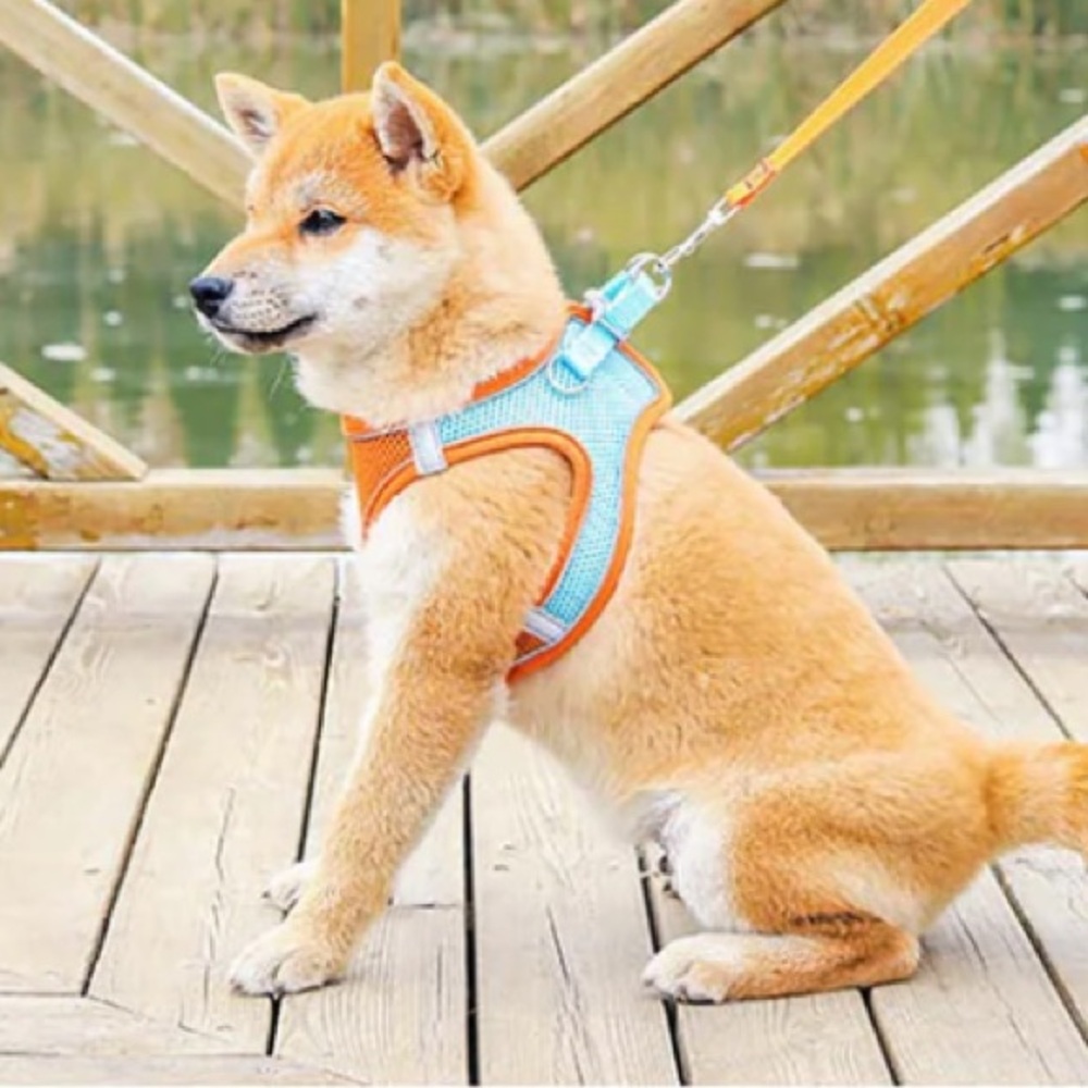 SALE!! Reflective dog vest no pull harness and leash